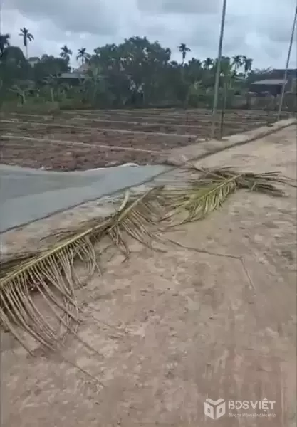 ĐẤT ĐẸP – GIÁ TỐT – CẦN BÁN LÔ ĐẤT  VỊ TRÍ ĐẸP TẠI Xã Nga Điền, Huyện Nga Sơn,  Thanh Hóa