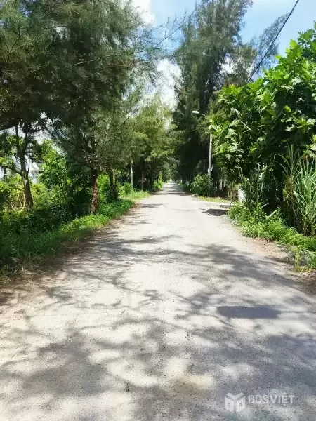 CẦN BÁN 1HA ĐẤT LÚA ĐƯỜNG ĐÊ SỐ 3