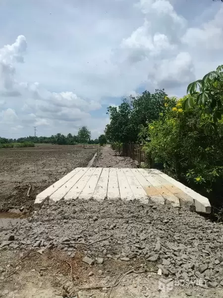 CẦN BÁN 1HA ĐẤT LÚA ĐƯỜNG ĐÊ SỐ 3