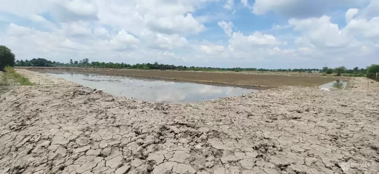 CẦN BÁN 1HA ĐẤT LÚA ĐƯỜNG ĐÊ SỐ 3