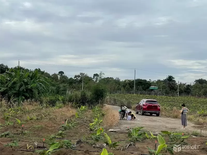 CƠ HỘI ĐẦU TƯ SIÊU HẤP DẪN - CẦN BÁN GẤP ĐẤT – GIÁ NGỘP HIẾM CÓ TẠI Sông Ray, Cẩm Mỹ
