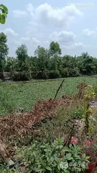 ĐẤT  ĐẸP – ĐẦU TƯ SINH LỜI - Chính Chủ Bán Lô Đất Xã Phú Cường, Cai Lậy, Tiền Giang