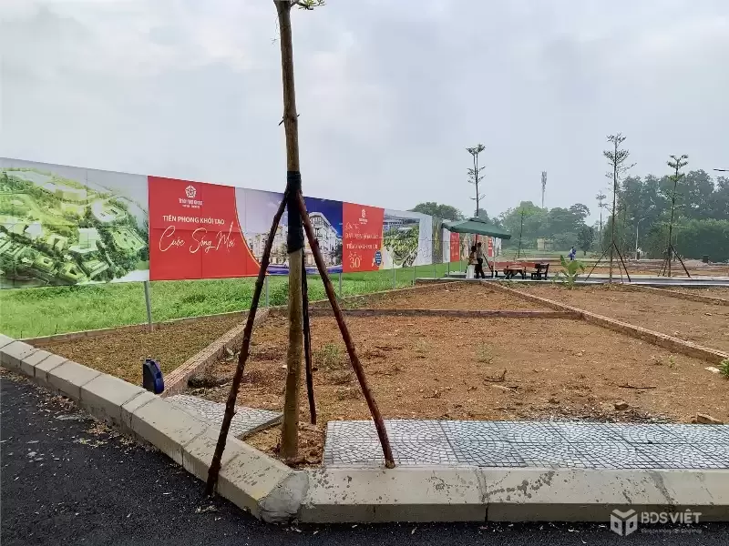 Suất ngoại giao lô góc đẹp nhất giáp dự án đất đấu giá Đồng Mô Lakeside