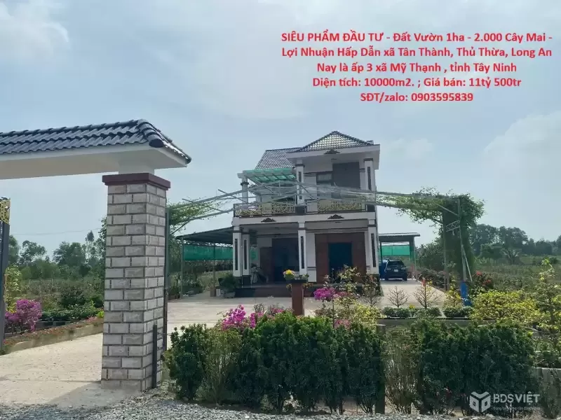 SIÊU PHẨM ĐẦU TƯ - Đất Vườn 1ha - 2.000 Cây Mai - Lợi Nhuận Hấp Dẫn xã Tân Thành, Thủ Thừa, Long An