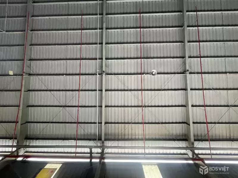 Cho Thuê Kho Xưởng 5.000m² Đà Nẵng – Liên Chiểu/Cẩm Lệ  Khuôn Viên Riêng, Hòa Cầm