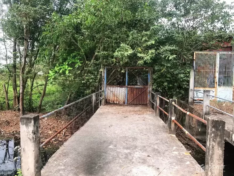 CẦN BÁN 786M2 ĐẤT VƯỜN LÊN ĐƯỢC THỔ CƯ MT ĐƯỜNG NHỰA