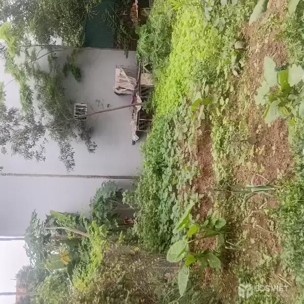 BÁN ĐẤT GẦN VIN CỔ LOA - XÃ ĐÔNG ANH - ĐÓN CẦU TỨ LIÊN - ĐƯỜNG OTO TRÁNH - TIỀM NĂNG CAO