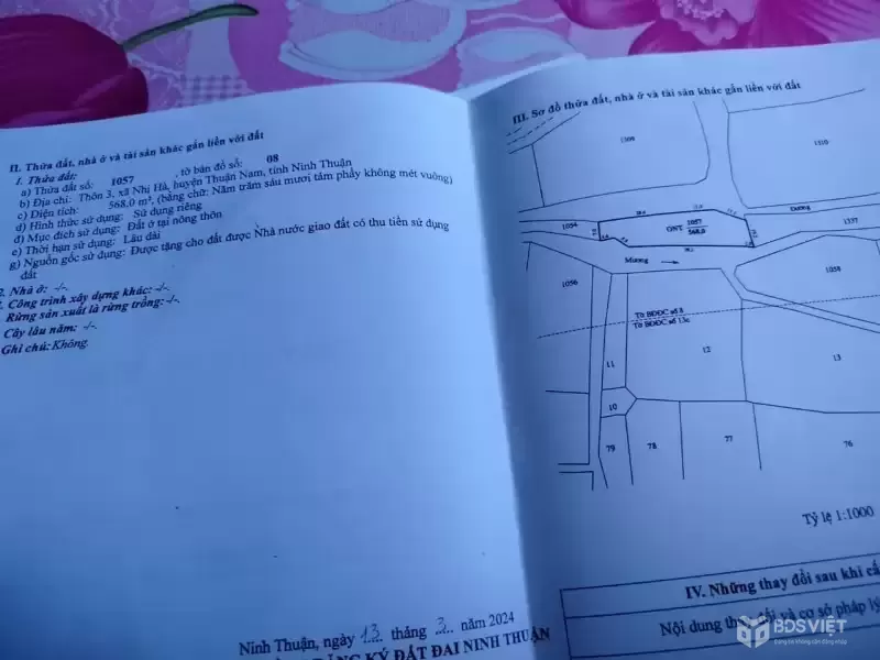 HOT HOT HOT – BÁN GẤP ĐẤT Tại Xã Nhị Hà, Huyện Thuận Nam, Tỉnh Ninh Thuận