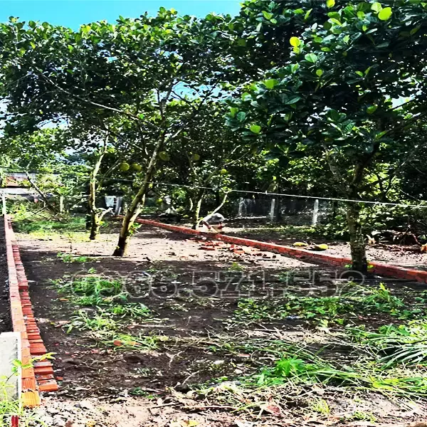 210m² THỔ CƯ, NGAY CHỢ HÀM NGHI – TP LONG KHÁNH – ĐN. CƠ HỘI X2,3 TÀI SẢN.