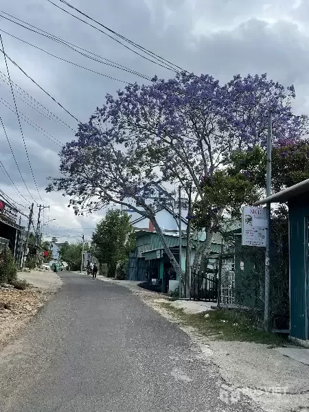 ĐẤT HIẾM TRUNG TÂM P6 – GIÁ TỪ 14 TỶ CÒN 12 TỶ