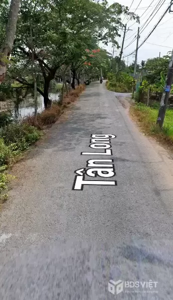 CẦN BÁN 248M2 8,7X31 NHÀ CẤP 4 MT ĐƯỜNG TÂN LONG