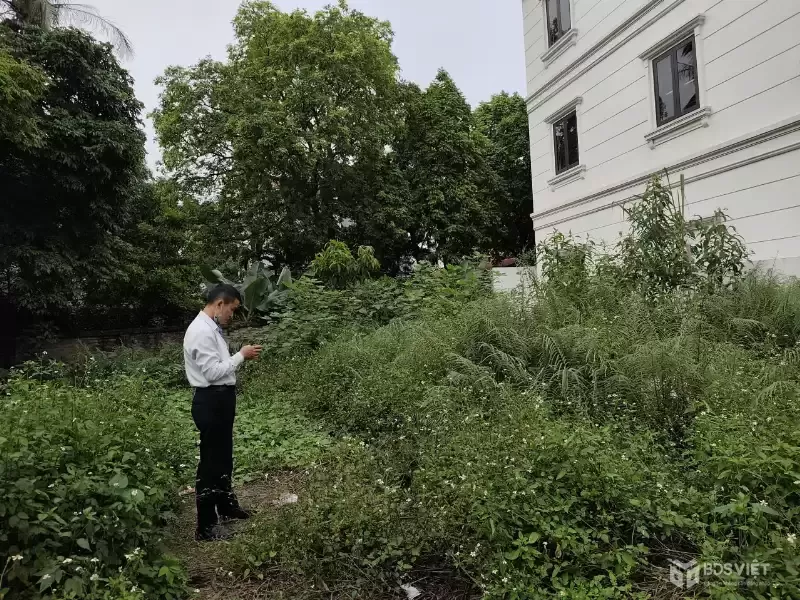 VĂN BÌNH THƯỜNG TÍN NGÕ THÔNG TỨ PHÍA GIÁ ĐẦU TƯ CHỈ HƠN 4 TỶ