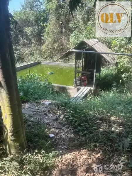 Cho thuê nhà xưởng – Phước Tân, Biên Hòa, Đồng Nai – 3.000m²