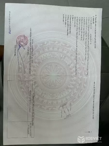 Sở hữu ngay lô đất tiềm năng sát khu công nghiệp Đồ Sơn với mức giá hiếm.