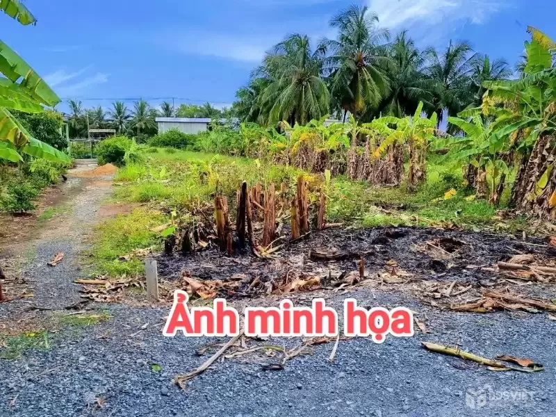 CẦN BÁN 1664M2 ĐẤT THỔ CƯ ĐƯỜNG XE TẢI TỚI ĐẤT