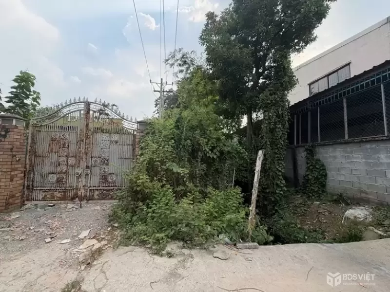 NHÀ ĐẸP – GIÁ TỐT – CHÍNH CHỦ CẦN BÁN NHÀ – Đường Vĩnh Phú 25 – Phường Vĩnh Phú – TP Hồ Chí Minh