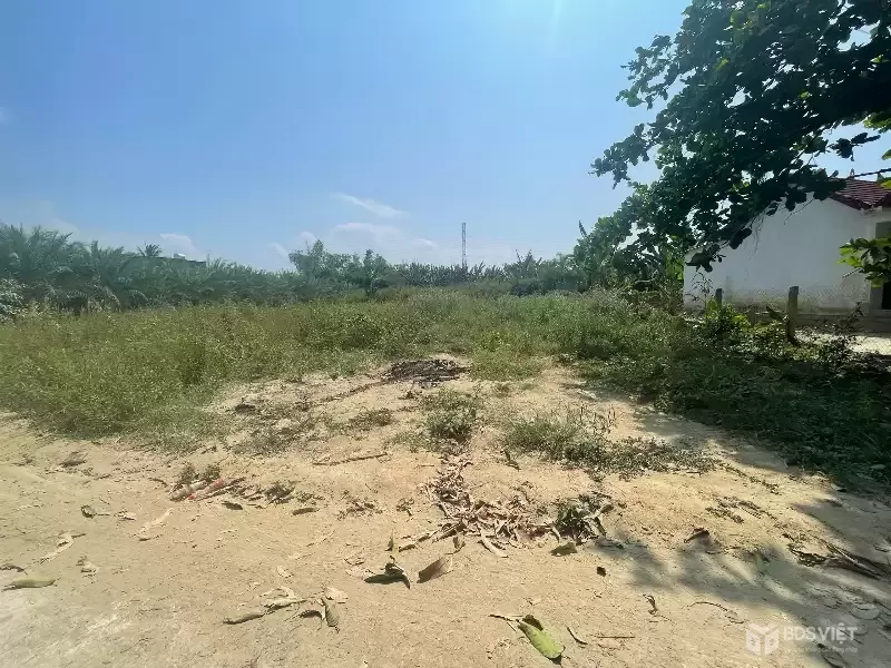 Đất Bầu Sen – Full Thổ – Gần Nha Trang – 770tr/lô