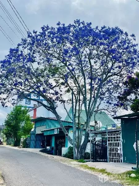 ĐẤT VIEW THOÁNG – VỊ TRÍ ĐẸP – GIÁ GIẢM MẠNH!