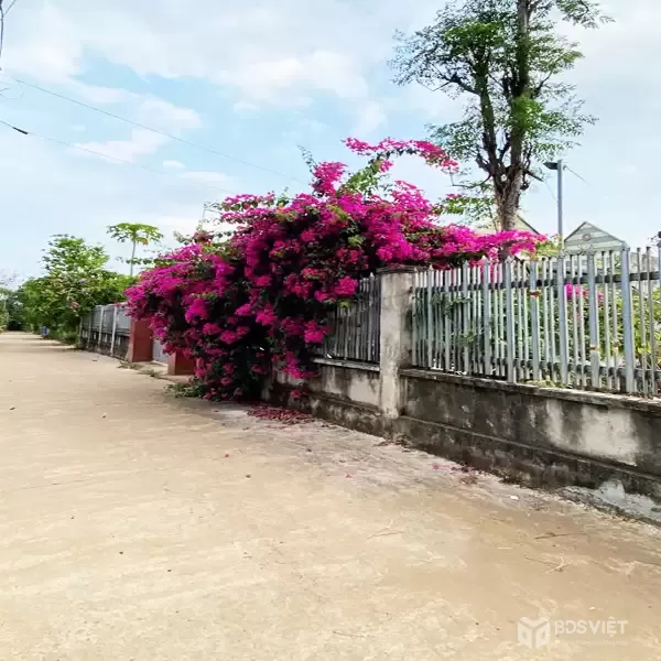 ĐẤT NỀN THỌ TÂN – P XUÂN LỘC – ĐN. GIÁ CHỈ 490Tr. 100% OĐT