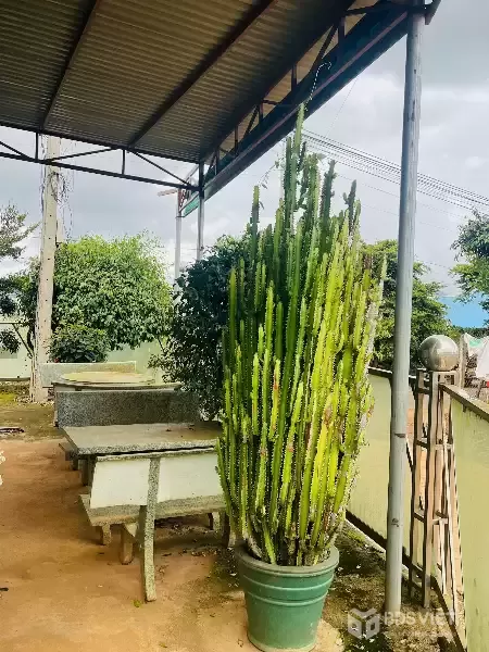 BÁN NHÀ ĐẤT 2 MẶT TIỀN – GIÁ CHỈ 2,5 TỶ – CƠ HỘI HIẾM