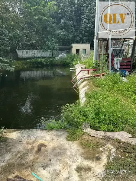Cho thuê nhà xưởng khuôn viên lớn – Chơn Thành, Bình Phước – 9.870m²