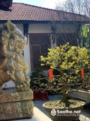 Bán biệt thự Kim Long ở Thành Phố Huế, Thừa Thiên Huế