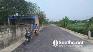 Cần bán 3600 m2 đất thổ canh tại Bình Lục, Hà Nam