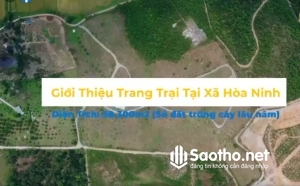 Cần bán trang trại rộng Tại Xã Hòa Ninh, Hòa Vang,Đà Nẵng